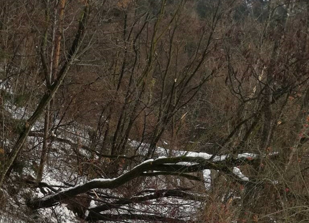 Unterstützung beim Freischneiden der Wanderwege - Information an die Grundeigentümer in Brixen
