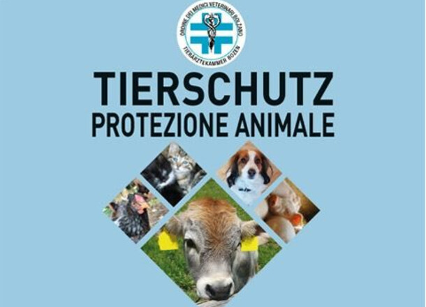 Tierärztekammer Südtirol: Gratisheft zum Tierschutz
