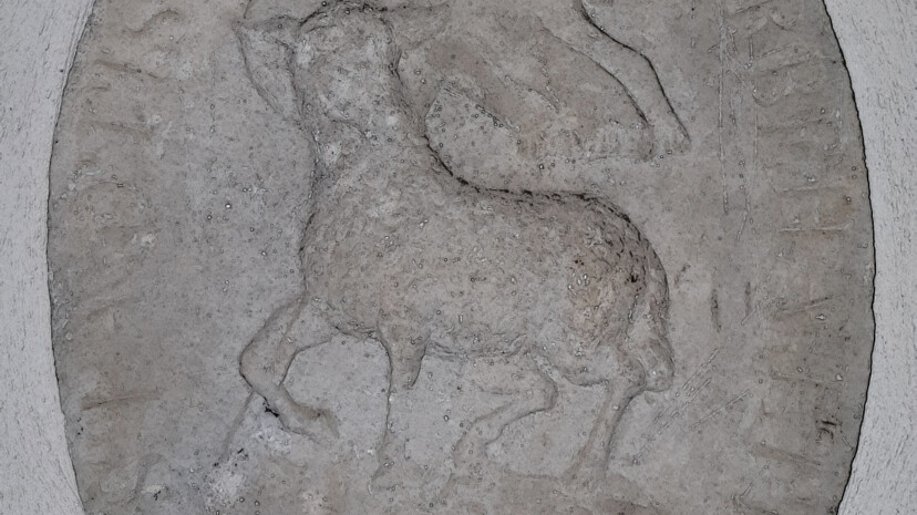 stadtbibliothek_foto_20190716_01.jpeg
