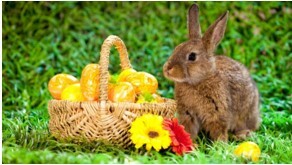 Orari di apertura Ufficio di Stato Civile per Pasqua