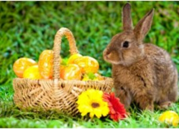 Orari di apertura Ufficio di Stato Civile per Pasqua