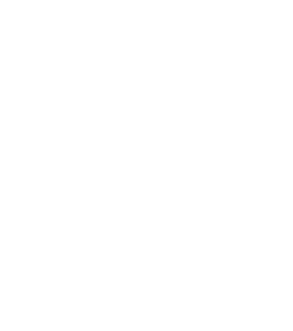 Gem 2 Go